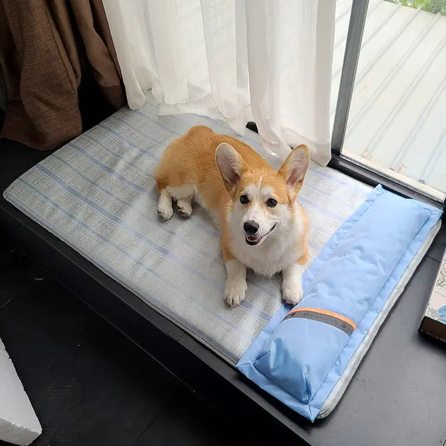 HOOPET Summer Dog Bed Thick Mat
