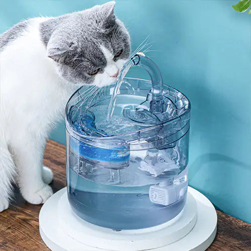 Drinking Bowl Auto Drinking Filter for Pets